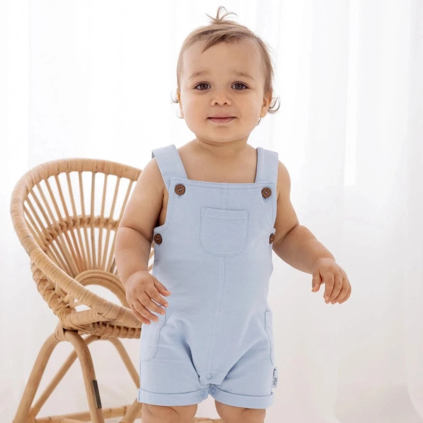 Chambray Overalls